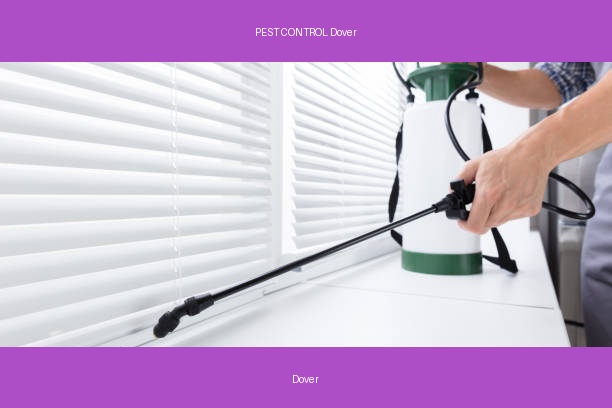 PEST CONTROL Dover